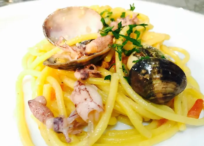 La Rosetta 스카우리